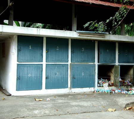 เด็กผีดุ 2002 ศพ